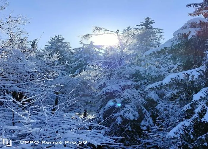 Chalet In The Woods With Nordic Bath