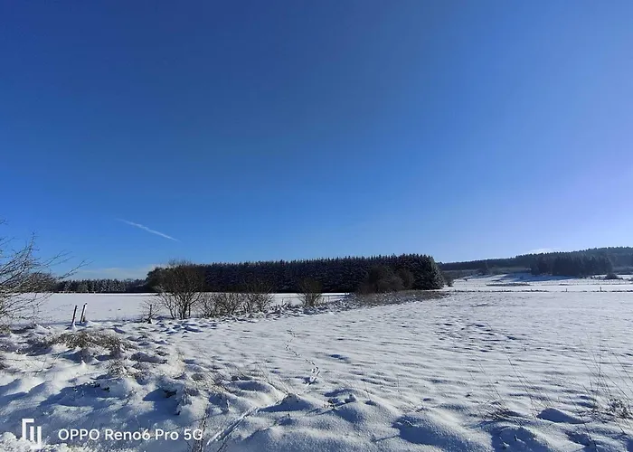 In The Woods With Nordic Bath Chalet