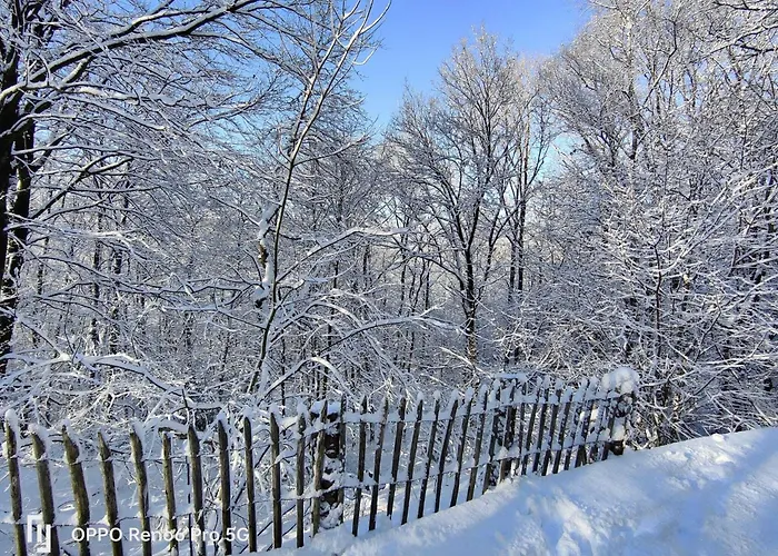 Chalet In The Woods With Nordic Bath